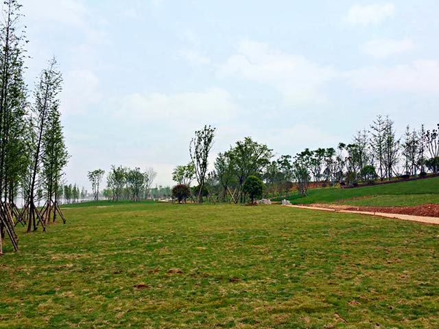 �������������������ò�����ʸ��칤��