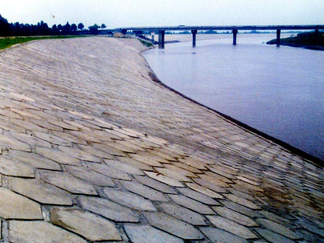 �������������¹���