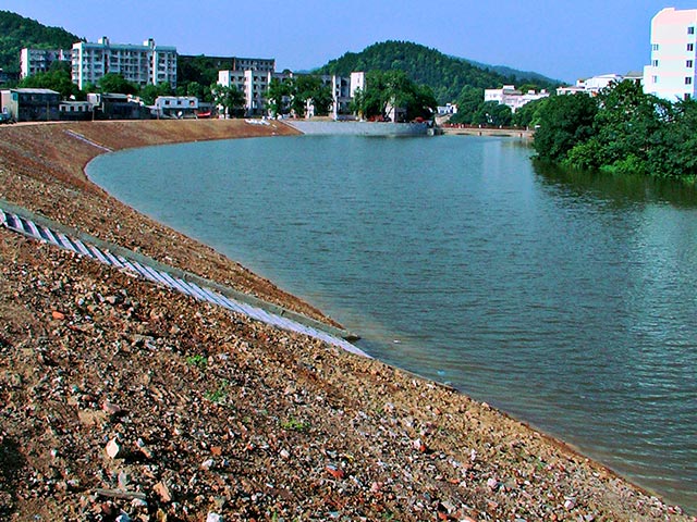 �����۷�����