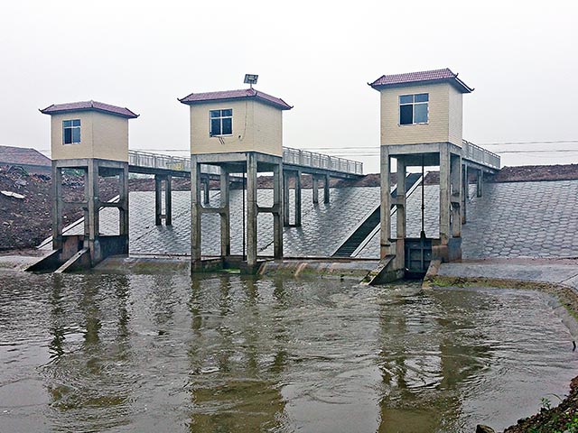 ���غͿ�������