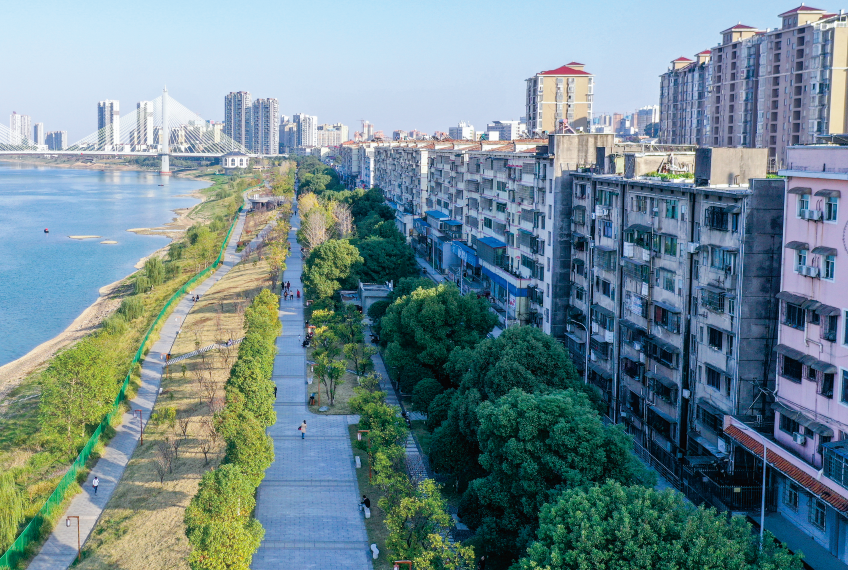 �������ʽ�������ò�����ʸ��칤��